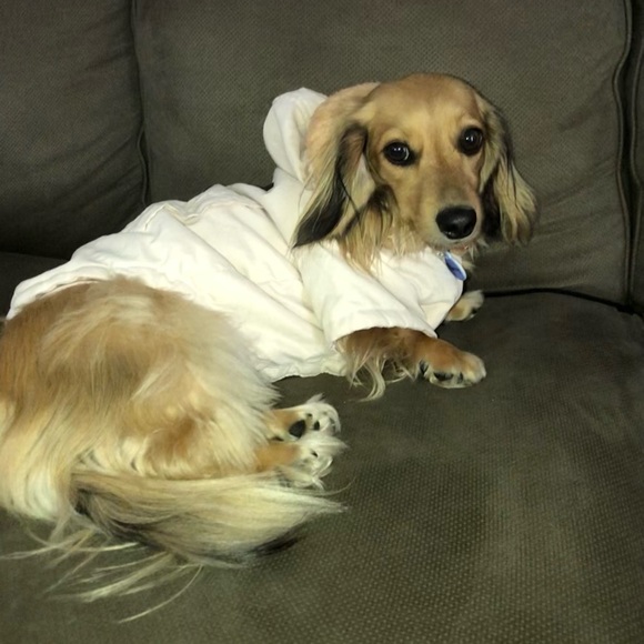 Meet your Posher, Jennie - Picture 10 of 10